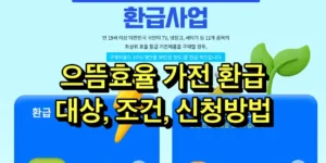 으뜸효율 가전 환급 제도 안내 및 후기