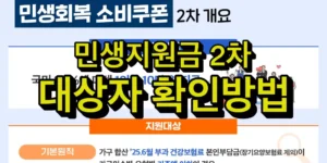 민생지원금 2차 대상자 확인방법