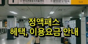 정액패스 혜택, 이용요금, 시행일 총정리