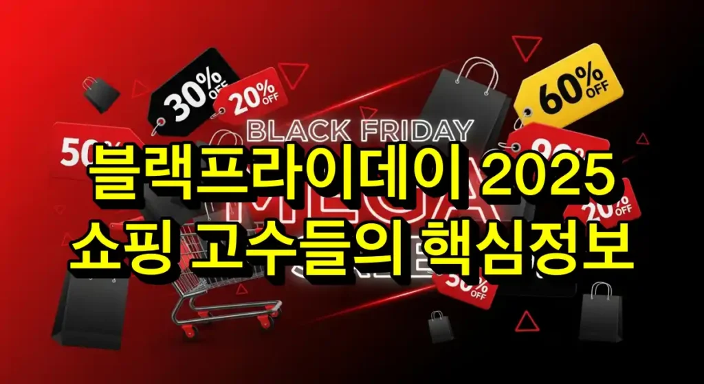 블랙프라이데이 2025 총정리