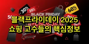 블랙프라이데이 2025 총정리