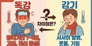독감 잠복기간, 증상, 일반 감기와의 차이점은?