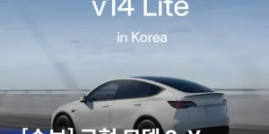 FSD Lite 한국출시